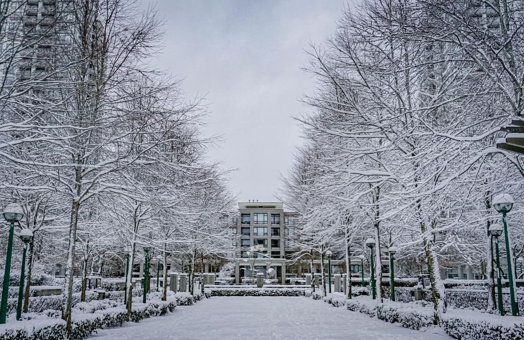 Capture Snowy Burnaby: The Ultimate Photo Contest